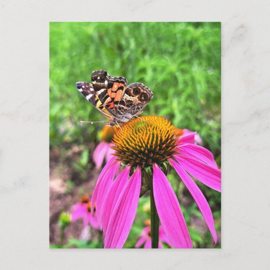 Amerikaanse dame briefkaart (Voorkant)