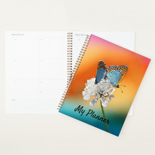 Amerikaanse dame planner (Display)
