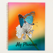 Amerikaanse dame planner (Voorkant)