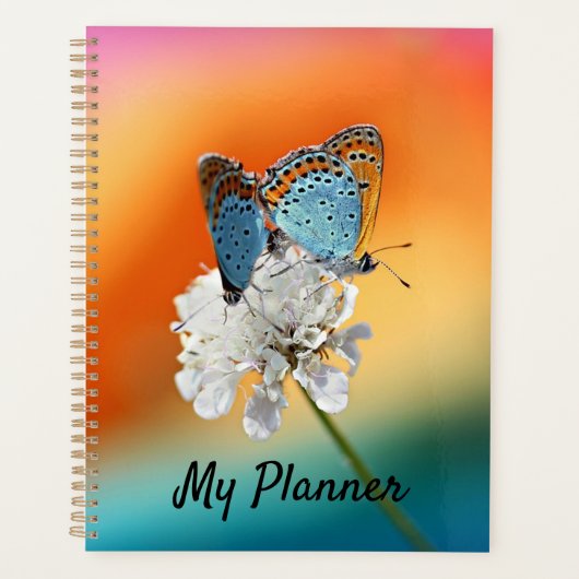 Amerikaanse dame planner (Voorkant)