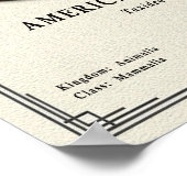 Amerikaanse Das Zoölogie Serie Poster (Hoek)