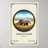 Amerikaanse Das Zoölogie Serie Poster (Voorkant)