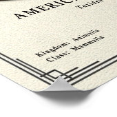 Amerikaanse Das Zoölogie Serie Poster (Hoek)