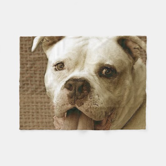 Amerikaanse deken (Voorkant (Horizontaal))