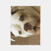 Amerikaanse deken (Voorkant)