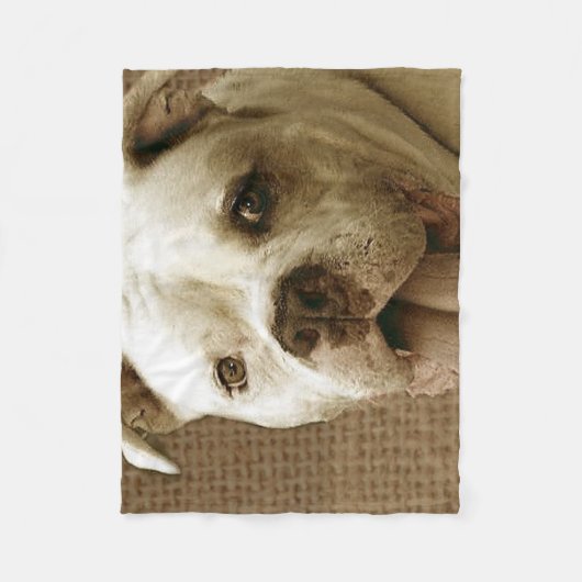 Amerikaanse deken (Voorkant)