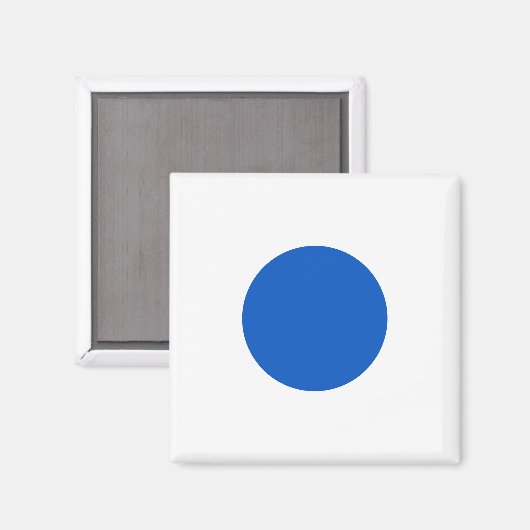 Amerikaanse Democraten steunen anti-Trump-protest Magneet (Voorkant / Achterkant)