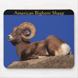 Amerikaanse dikhoornschaap Mousepad Muismat