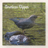 Amerikaanse dipper glazen onderzetter (Voorkant)