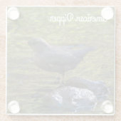 Amerikaanse dipper glazen onderzetter (Achterkant)