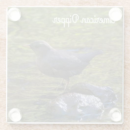 Amerikaanse dipper glazen onderzetter (Achterkant)