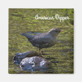 Amerikaanse dipper magneet (Voorkant)
