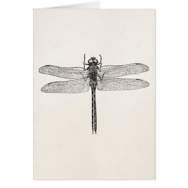  Amerikaanse dragonfly-Sjabloon (Voorkant)