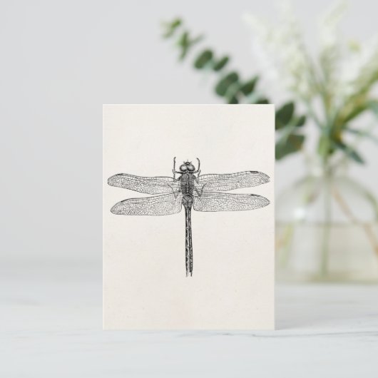  Amerikaanse dragonfly-Sjabloon Briefkaart (Staand voorkant)
