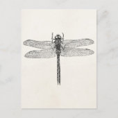Amerikaanse dragonfly-Sjabloon Briefkaart (Voorkant)