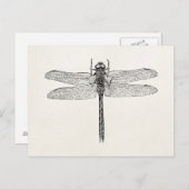  Amerikaanse dragonfly-Sjabloon Briefkaart (Voorkant / Achterkant)