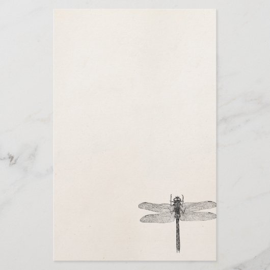 Amerikaanse dragonfly-Sjabloon Briefpapier (Voorkant)
