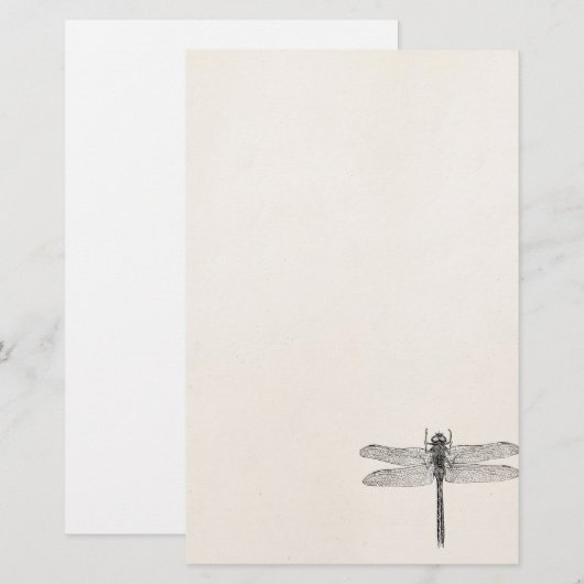 Amerikaanse dragonfly-Sjabloon Briefpapier (Voorkant / Achterkant)