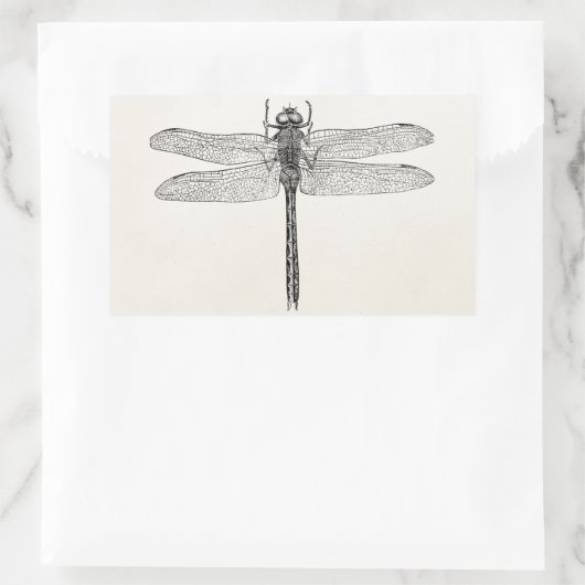  Amerikaanse dragonfly-Sjabloon Rechthoekige Sticker (Tas)