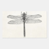  Amerikaanse dragonfly-Sjabloon Rechthoekige Sticker (Voorkant)