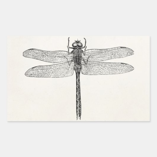  Amerikaanse dragonfly-Sjabloon Rechthoekige Sticker (Voorkant)