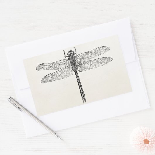  Amerikaanse dragonfly-Sjabloon Rechthoekige Sticker (Envelop)