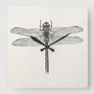  Amerikaanse dragonfly-Sjabloon Vierkante Klok