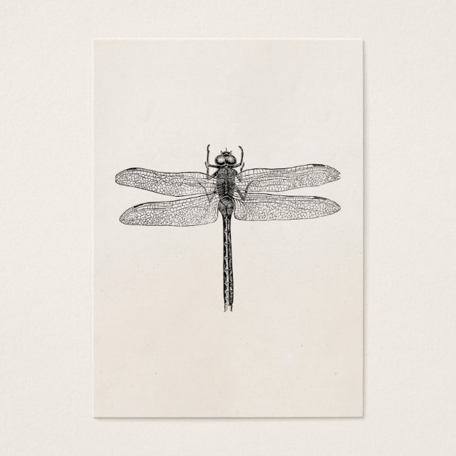  Amerikaanse dragonfly-Sjabloon Visitekaartje (Voorkant)