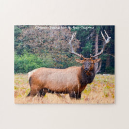 Amerikaanse eland in Californië.Kerstgroeten Legpuzzel