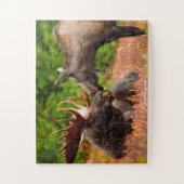 Amerikaanse Eland Legpuzzel (Verticaal)