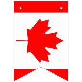 Amerikaanse en Canadese internationale trouwpartij Vlaggetjes (Tweede vlag)