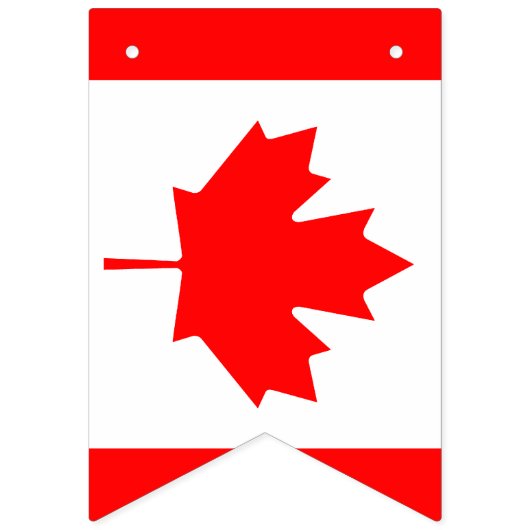 Amerikaanse en Canadese internationale trouwpartij Vlaggetjes (Tweede vlag)