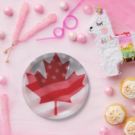 Amerikaanse en Canadese vlaggen Papieren Bordje (Feest)