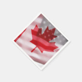 Amerikaanse en Canadese vlaggen Servet (Hoek)