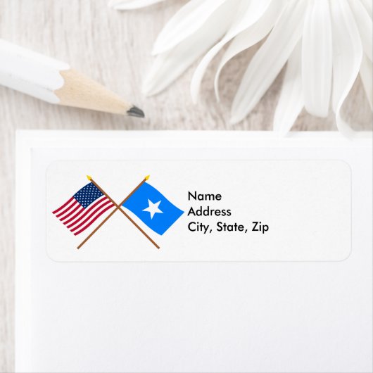 Amerikaanse en Somalische gekruiste vlaggen Etiket (Insitu)