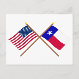 Amerikaanse en Texas Crossed Flags Briefkaart