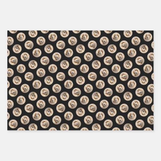 Amerikaanse Engelse Coonhound Redtick Schilderhond Inpakpapier Vel (Voorkant 3)