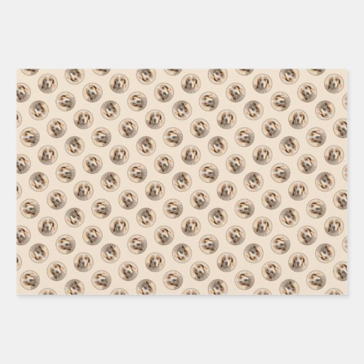 Amerikaanse Engelse Coonhound Redtick Schilderhond Inpakpapier Vel (Voorkant)