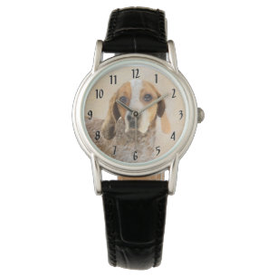 Amerikaanse Engelse Coonhound Schilderij - Honden Horloge