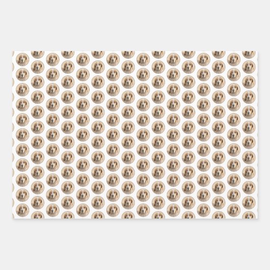 Amerikaanse Engelse coonhoundschildering - Dog Art Inpakpapier Vel (Voorkant 2)