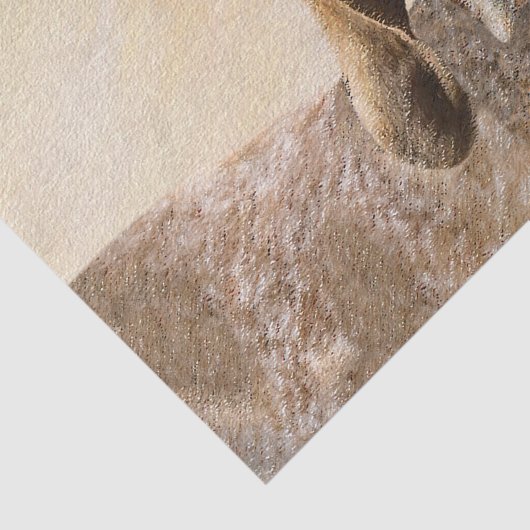 Amerikaanse Engelse coonhoundschildering - Dog Art Tissuepapier (Detail)