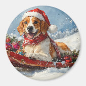 Amerikaanse Engelse Foxhound in Sledge Christmas Magneet (Voorkant)