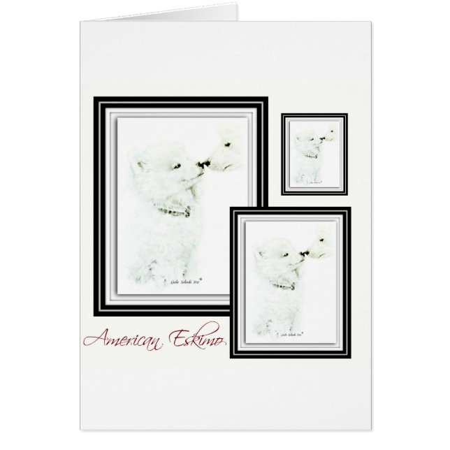 Amerikaanse Eskimo (Voorkant)