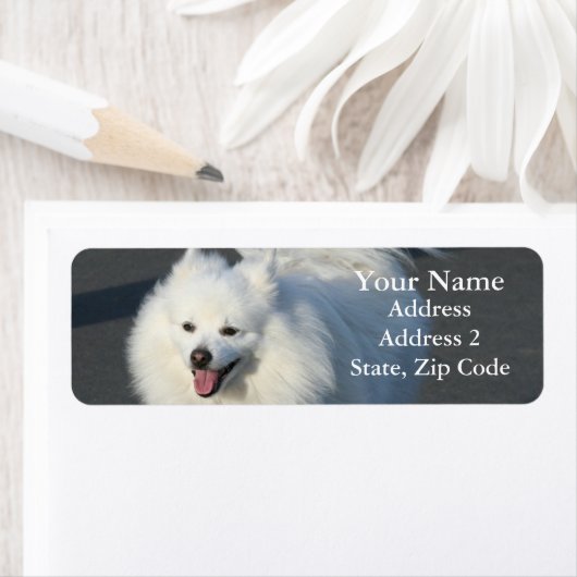 Amerikaanse Eskimo Adresetiketten Etiket (Insitu)