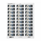 Amerikaanse Eskimo Adresetiketten Etiket (Full Sheet)