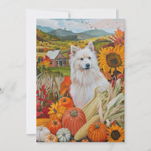 Amerikaanse Eskimo Autumn Harvest Thanksgiving Dog Feestdagenkaart (Voorkant)