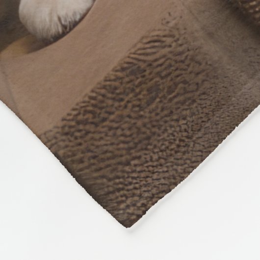 Amerikaanse Eskimo bij de open haard Kerstmis Fleece Deken (Hoek)