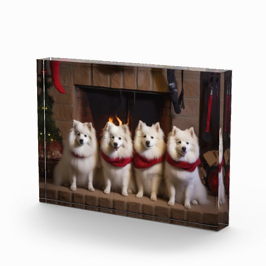 Amerikaanse Eskimo bij de open haard Kerstmis Fotoblokken (Rechts)