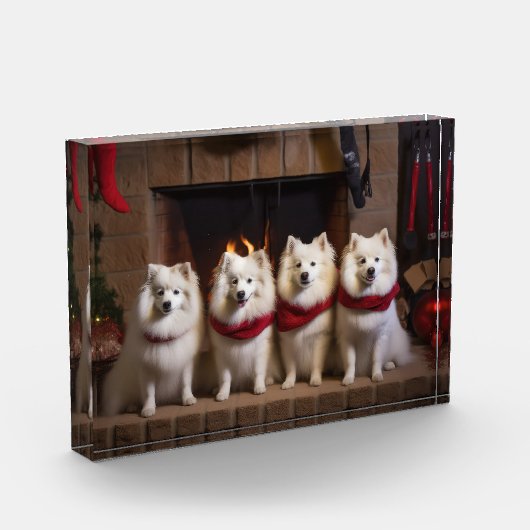 Amerikaanse Eskimo bij de open haard Kerstmis Fotoblokken (Links)