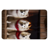 Amerikaanse Eskimo bij de open haard Kerstmis Magneet (Horizontaal)